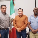 El cráter de Chicxulub revela cómo se extinguieron los dinosaurios