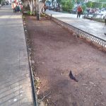 Más exfuncionarios del PRI yucateco envueltos en actos de corrupción