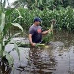 Yucatán: dos noticias buenas y una mala