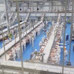 Morena da la espalda a los yucatecos e intenta boicotear presupuesto para proteger salud y empleos