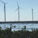 El campo ruega para que no lleguen tormentas o sequía