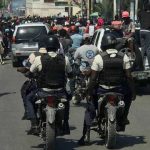Advierten sobre migración de chinches a la península de Yucatán