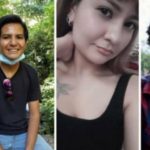 Los gatos, los verdaderos amos en la pandemia