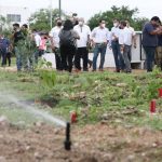 Dos nuevas cepas de coronavirus en Yucatán: son más contagiosas