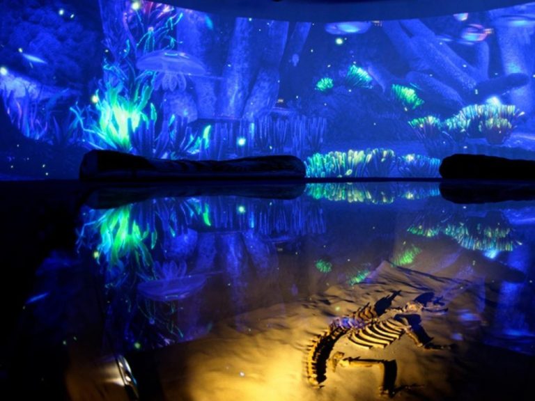 Universum está de regreso y abre con nueva exposición