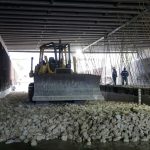 El nuevo estadio sostenible generará 4,000 empleos durante la etapa de edificación