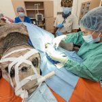 Hoy se detectaron 85 nuevos contagios de Coronavirus: