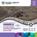 Detectan 347 nuevos contagios de Coronavirus