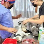 Yucatán obtiene calificación histórica en el Índice de Progreso Social