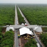 Mérida y Yucatán, incubadoras de emprendedores: Cecilia Patrón