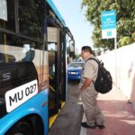 El Ayuntamiento de Progreso instala una zona verde en el Malecón Internacional