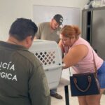 Mérida tiene una esencia cultural que contribuye a la seguridad: Cecilia Patrón