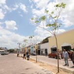En Yucatán se sigue mejorando la calidad de vida de las familias con más empleos