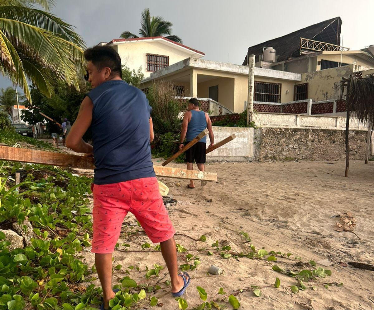 los-vecinos-retiraron-las-maderas-en-la-playa