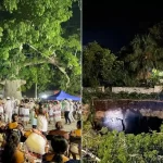ceiba_xocen_x1x.jpg_2039590105