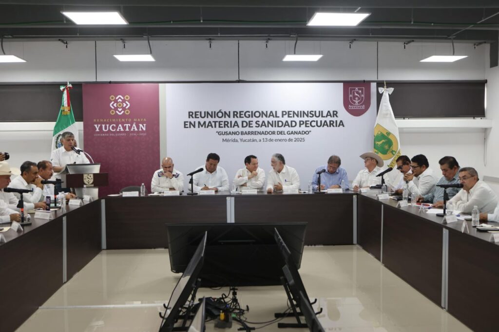 Calles dignas y movilidad: prioridad en Mérida