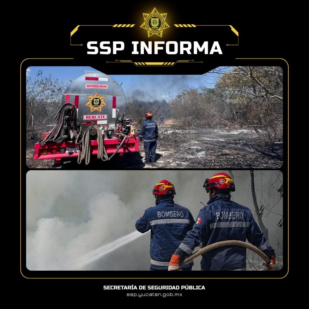 636955205_1335536635274201_5359592042132070159_n