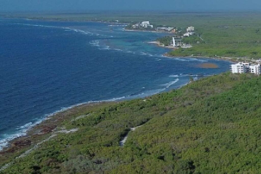 mahahual-megaparque-royal-caribbean-quintana-roo-animal-politico