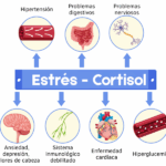 Esquema-como-el-estres-o-cortisol-afecta-a-nuestra-cuerpo-fisico-y-mental