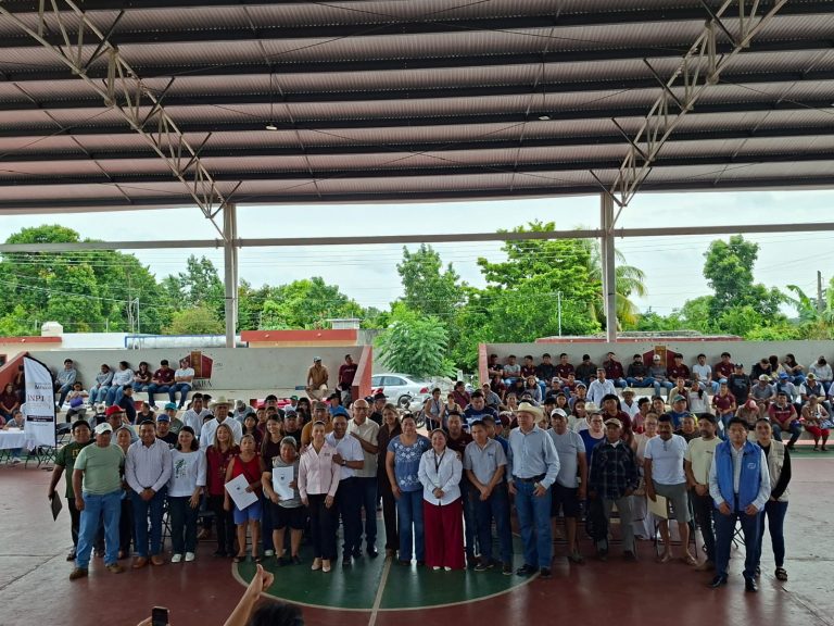 WhatsApp Image 2026-10-10 at 1.23.27 PM (3)